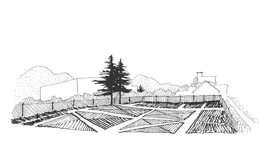 Line drawing of Wall Street Community Garden by Dennis Yandle.