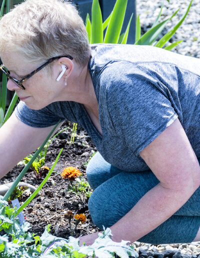 Photo of female gardener working in her plot at Wall Street Community Garden, Vancouver.