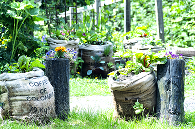Community garden sacks.