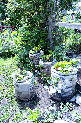 Community garden sacks.