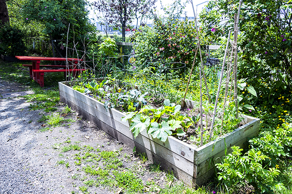 Photo of Wall Street Community Garden shared gardening box.