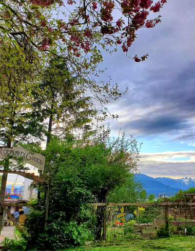 View of Wall Street Community Garden and North Shore mountains, Vancouver.
