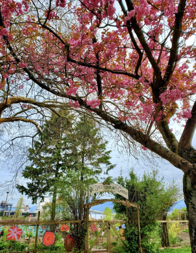 View of Wall Street Community Garden, Vancouver.