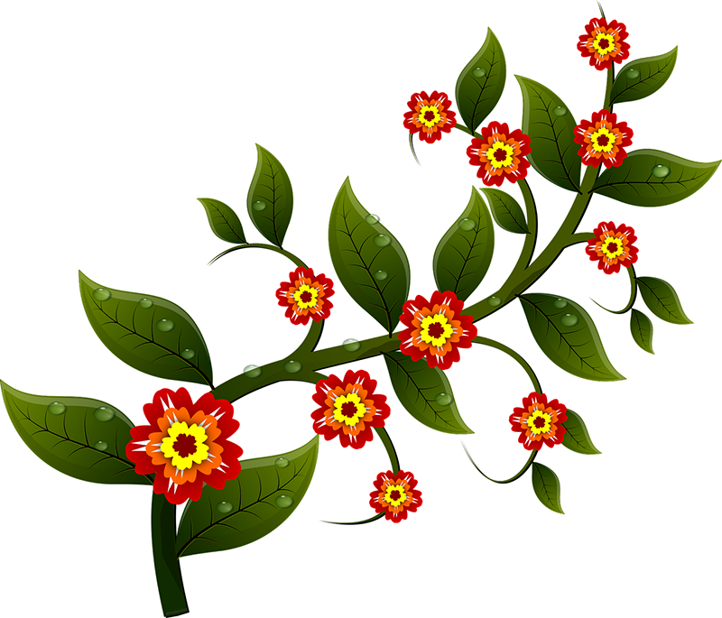 Drawing of small flowers.