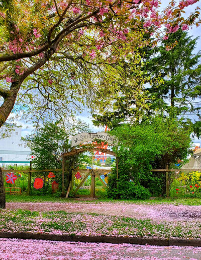 Street view with fallen spring blossoms of Wall Street Community Garden, Vancouver.