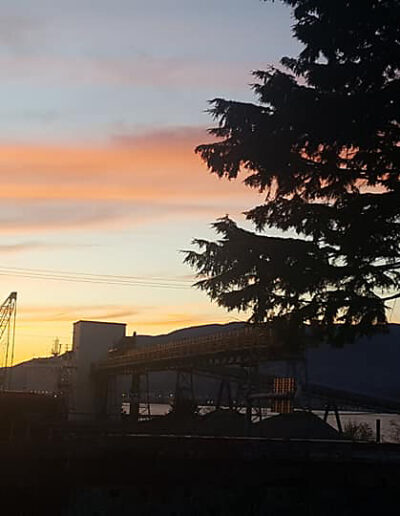 Photo of sunset at Wall Street Community Garden, Vancouver.