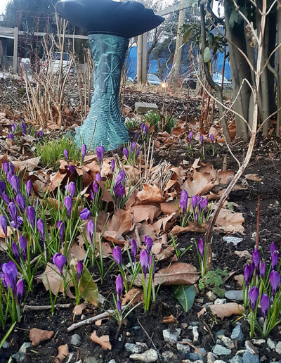 Photo of toadstool sculpture, Wall Street Community Garden, Vancouver.