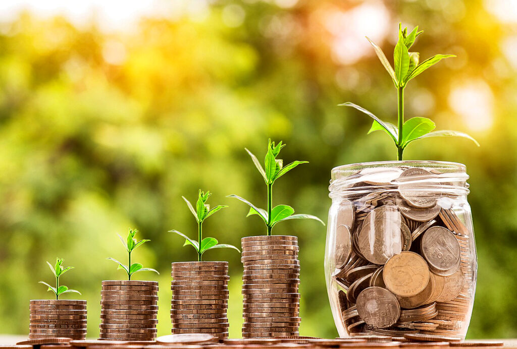 Image of garden shoots rising from coin stacks.