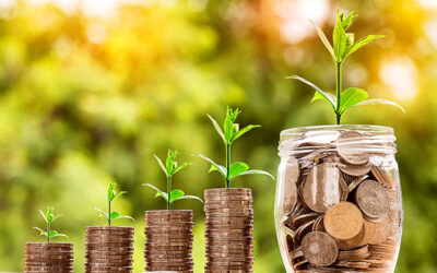 Fees Raised For Some Members