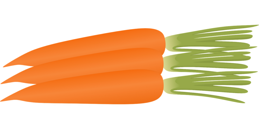 Drawing of carrots.