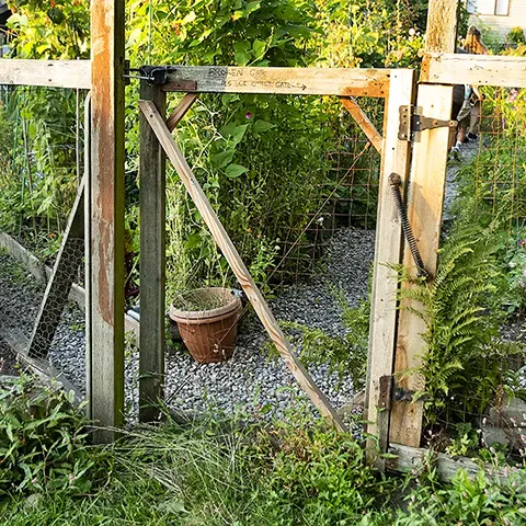 East gate_croppedR_480 Photo of Wall Street Community Garden southwest gate.