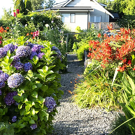 vacancies_550 Photo of Wall Street Community Garden pathway.